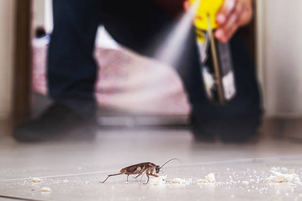 Wasp Removal Services in Harveys Lake, PA